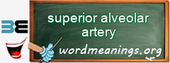 WordMeaning blackboard for superior alveolar artery